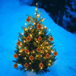 Weihnachten mit Basketball Basketball-Baum